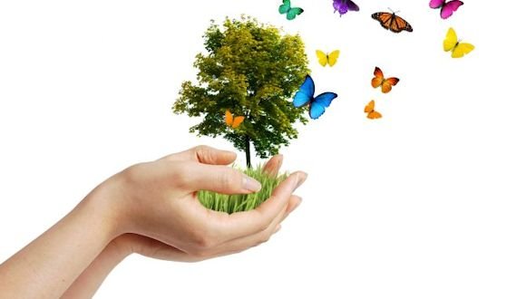 DÜNYA ÇEVRE GÜNÜ